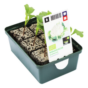 Bloemkool set biologisch