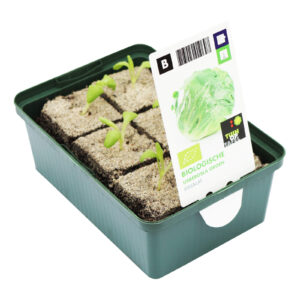 IJsbergsla set biologisch