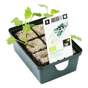 Koolrabi wit set biologisch