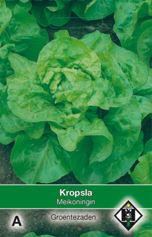 Kropsla Meikoningin