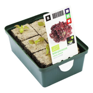 Lollo Rossa Sla set biologisch