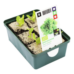 Lollo Bionda Sla set biologisch