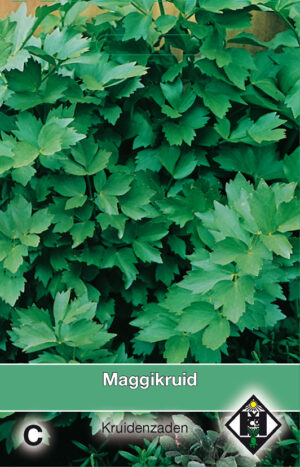 Lavas / Maggikruid / Levisticum