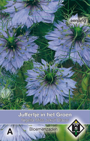 Nigella damas. Miss Jekyll Blauw