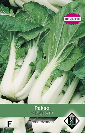 Paksoi Win Choi F1