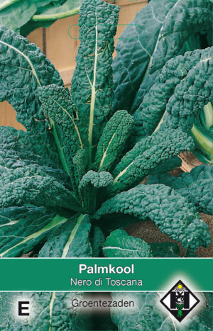Palmkool Nero di Toscana