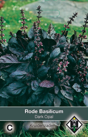 Rode Basilicum Dark Opal / Ocimum