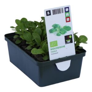 Veldsla set biologisch