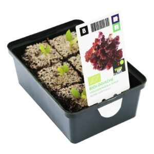 Sla vollegrond rood set biologisch