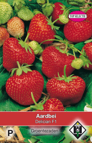 Aardbei Delician F1
