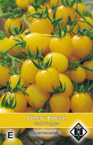 Cherry tomaat Gold Nugget