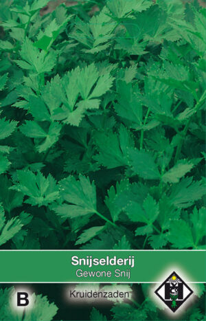 Selderij / Apium gewone snij