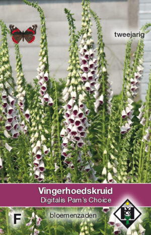 Digitalis purpurea Pam's Choice
