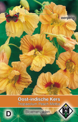 Tropaeolum m. n. Peach Melba