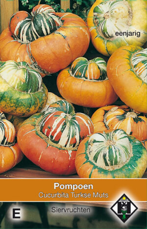 Cucurbita maxima Turkse Muts