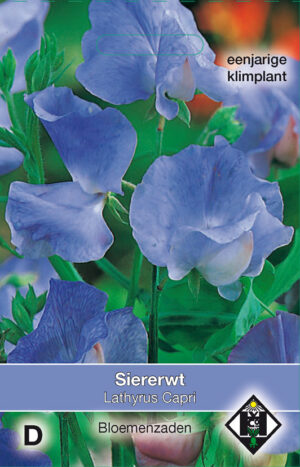 Lathyrus odoratus Capri