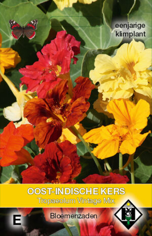 Tropaeolum majus Vintage Mix