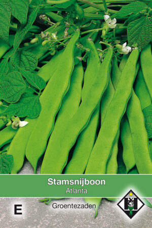 Stamsnijboon Atlanta 50 gram