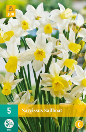 Narcissus Sailboat