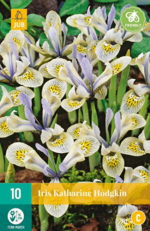 Iris Katharine Hodgkin