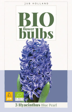 Hyacinthus Blue Pearl BIO