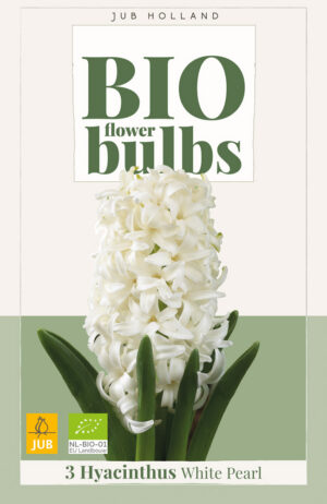 Hyacinthus White Pearl BIO