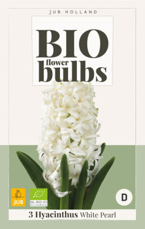 Hyacinthus White Pearl BIO