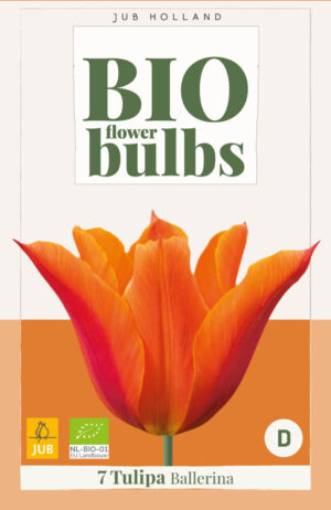 Tulipa Ballerina BIO