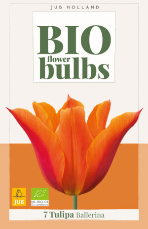 Tulipa Ballerina BIO