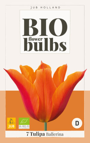 Tulipa Ballerina BIO