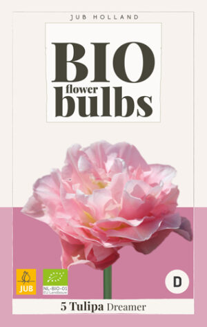 Tulipa Dreamer BIO