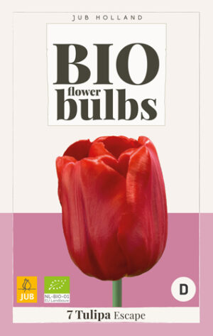 Tulipa Escape BIO