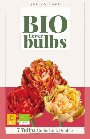 Tulipa Gudoshnik Double BIO