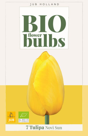 Tulipa Novi Sun BIO