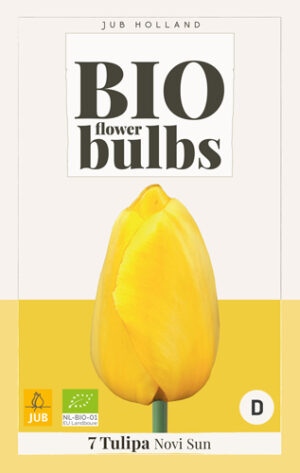 Tulipa Novi Sun BIO