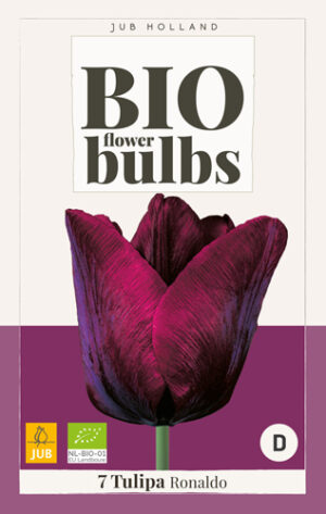 Tulipa Ronaldo BIO