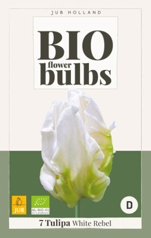 Tulipa White Rebel BIO