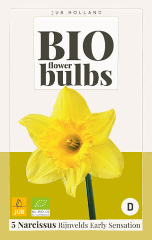Narcissus Rijnvelds Early Sensation BIO