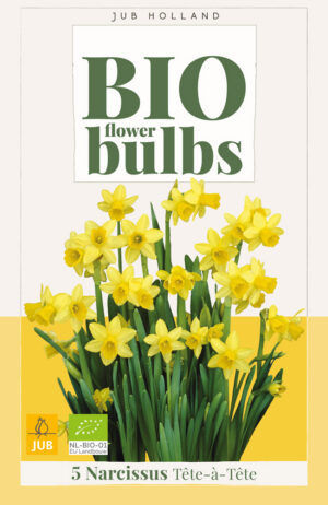 Narcissus Tête-à-Tête BIO