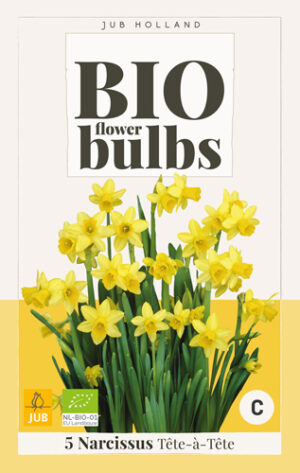 Narcissus Tête-à-Tête BIO