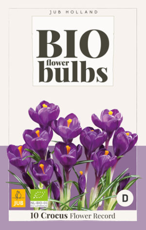 Crocus Flower Record BIO