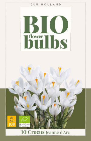 Crocus Jeanne d'Arc BIO