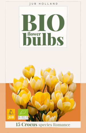 Crocus Romance BIO