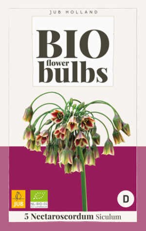 Allium Nectaroscordum siculum BIO