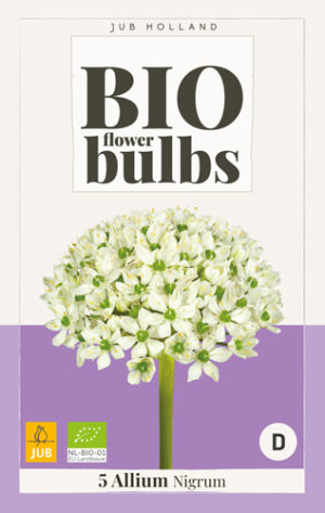 Allium nigrum BIO