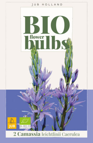 Camassia leichtlinii Caerulea BIO