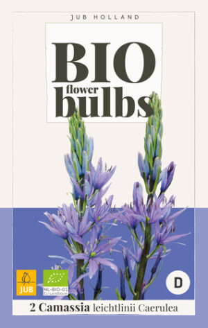 Camassia leichtlinii Caerulea BIO