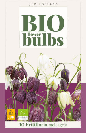 Fritillaria meleagris BIO