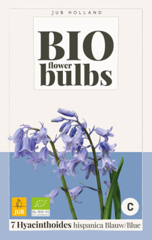 Hyacinthoides hispanica Blue BIO