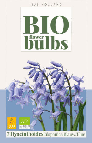 Hyacinthoides hispanica Blue BIO